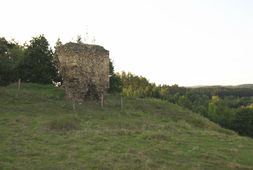 Weikertschlag. Ansicht von Vorburg und Turmrest von SO (2007) - © Thomas Zoder